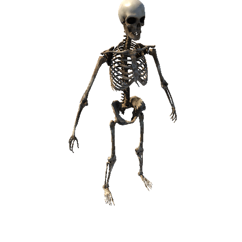 SK_Skeleton_Sand Variant